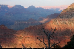 Avondrood bij de grand canyon Amerika met kinderen