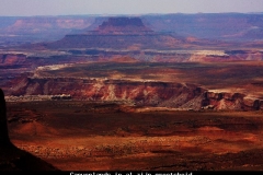 Canyonlands in al zijn schoonheid, Amerika met kinderen