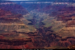 Scheurtjes in de grand canyon Amerika met kinderen