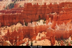 Typisch Utah Amerika met kinderen
