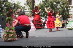 Flamengo leren Andalusië met kinderen