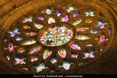 Sevilla kathedraal roosvenster Andalusië met kinderen
