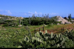 Arubaans landschap Aruba met kinderen