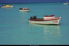 Genieten Aruba met kinderen