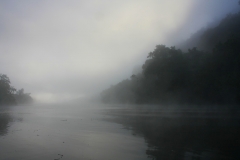 Australië Daintree rivier mist