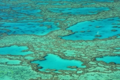 Australië awesome koraal great barrier reef vanuit de lucht