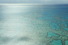 Australië great barrier reef Whitsunday