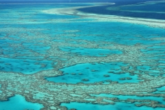 Australië great barrier reef from the sky