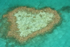 Australië heart reef