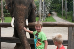Bali met kinderen Bali zoo