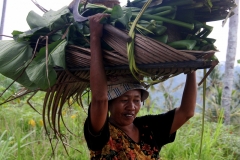 Bali met kinderen hard werk