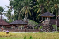 Bali met kinderen platteland
