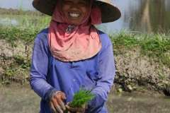 Bali met kinderen rijstwerker
