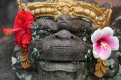 Bali met kinderen stoer