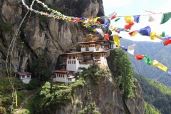 Tigers nest Bhutan met kinderen