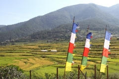Vallei Bhutan met kinderen