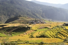 Punakha vallei Bhutan