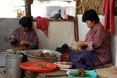 Huis Punakha Bhutan met kinderen