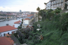 Porto met kinderen