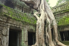 Cambodja met kinderen Ta Phrom