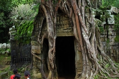 Leven tussen de tempels Angkor