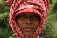 Rijstveld werken Cambodja