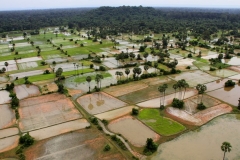 Rijstvelden schoonheid Cambodja