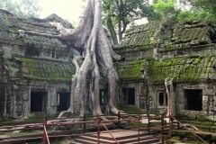 Ta Phrom Cambodja met kinderen