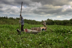 Tonle Sap meer