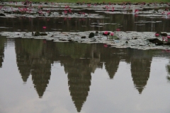 Waterspiegeling torens Angkor Wat Cambodja
