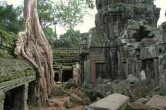 Werelderfgoed Angkor Ta Phrom