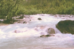 Kicking horse rivier Canada met kinderen