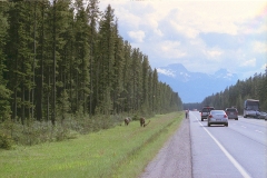 Langs de weg Canada met kinderen