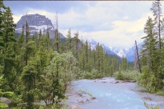 Natuurschoon in Yoho NP Canada met kinderen