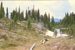 Revelstoke NP Canada met kinderen