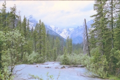 Wat mooi is BC Canada met kinderen