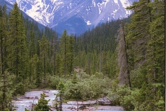 Yoho NP Canada met kinderen