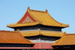 Dak van de verboden stad Beijing met kinderen