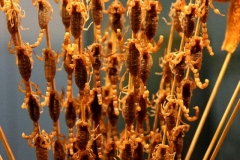 Lekker!! Beijing met kinderen