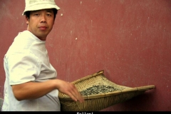 Pellen Beijing met kinderen