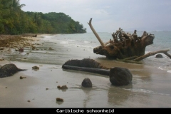 Caribische schoonheid