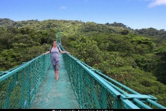 Monteverde hanging bridges