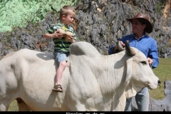 Vinales op de os Cuba met kinderen