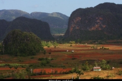 Vinales vallei Cuba met kinderen