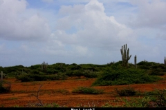 Rood Curacao met kinderen