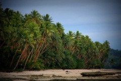 Fiji met kinderen ahh mooi strand