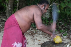 Fiji met kinderen kokosnoot