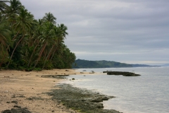 Fiji met kinderen stranden