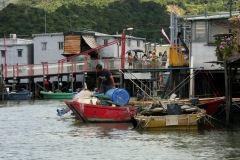 Hong Kong Tai-O visser