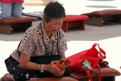 Hong Kong devotie (2)